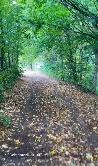 Teren de vanzare zona de munte - 1