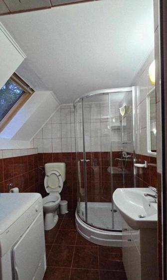 Casa/Pensiune,doua imobile intr-unul singur de vanzare, Valea Bratcu - 12