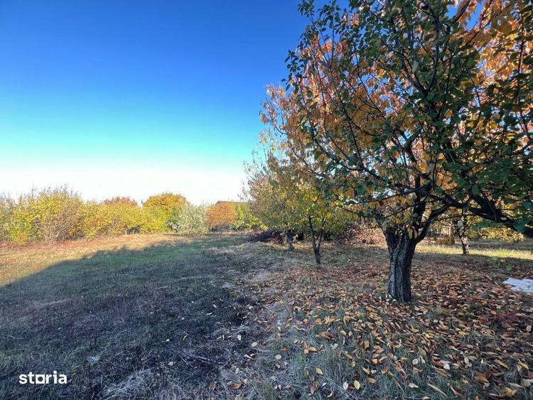 Teren constructie 800mp Rediu Horlesti - 1