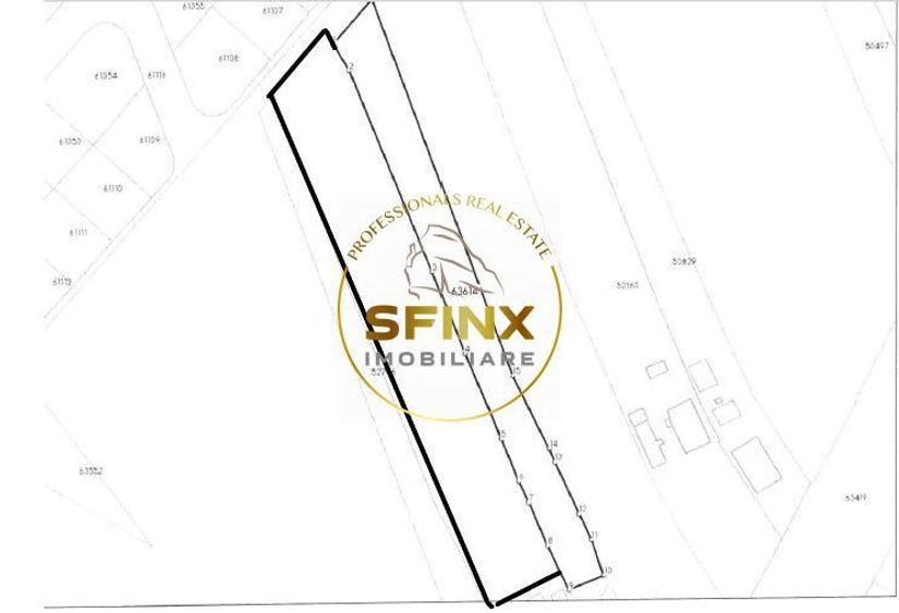 Ciolpani 6536mp teren intravilan DN1 - 1
