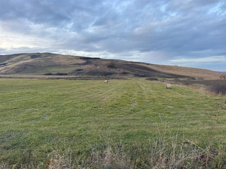 Teren Extravilan I 6000 Mp I Acces la drum | Cojocna - 2