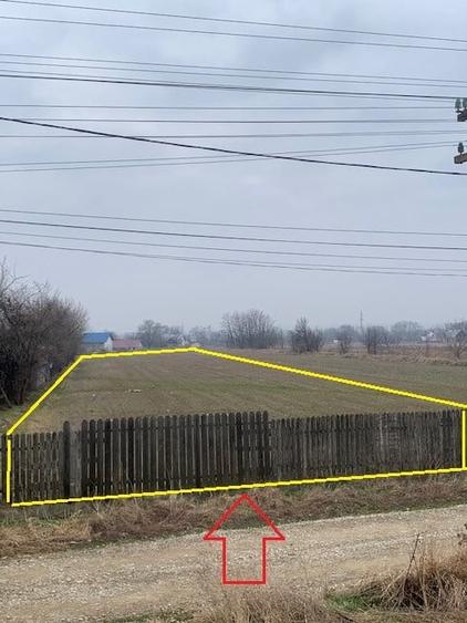 Teren de vanzare 7.123 mp intravilan, Buhusi - 6