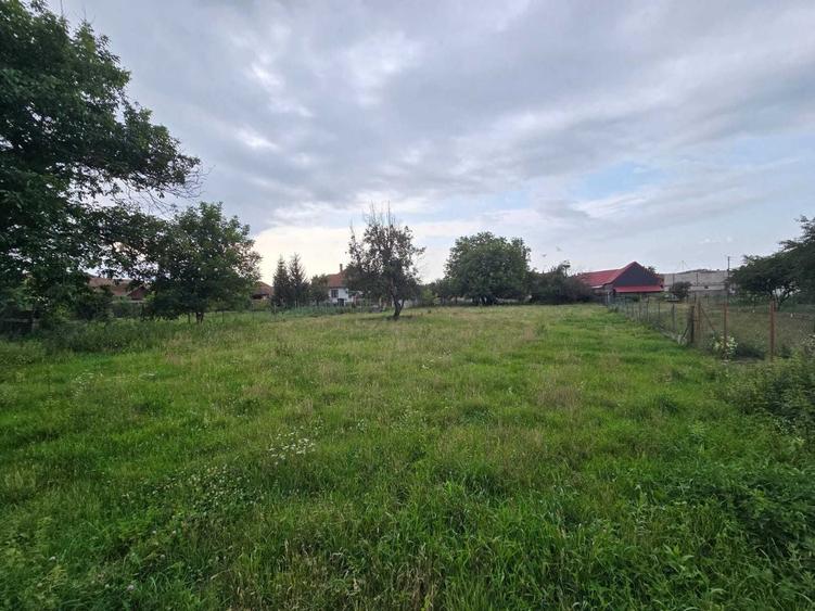 Vind Casa la Arpasu de jos - 3