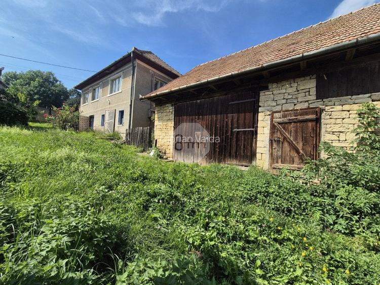 Casa Veche + Sura + Anexe | 70 mp utili | 3600 mp teren | Deusu - Chinteni !