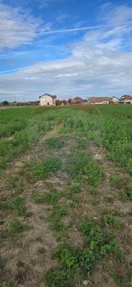 Teren si casă cu teren generos în Socodor - 29