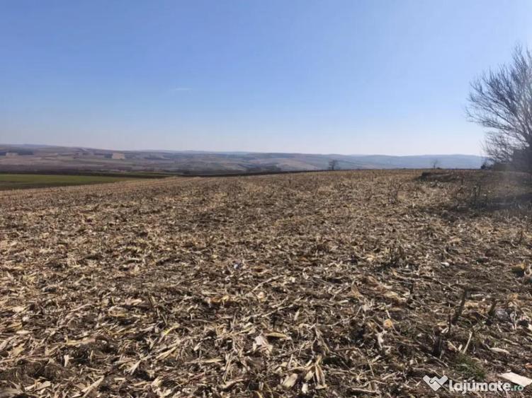 Teren 6500mp, 40ml deschidere la E85, Granicesti, Suceava - 3