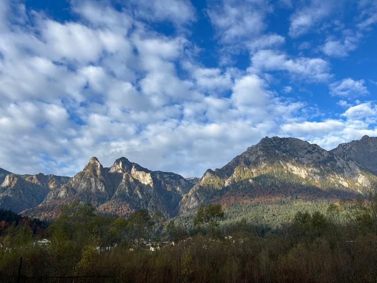 Apartament 3 camere nou Busteni - 1