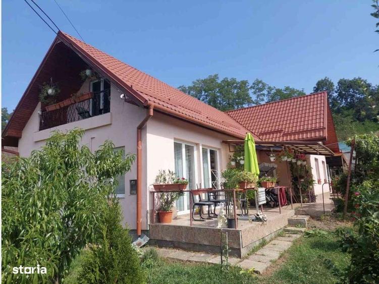 Casa spatioasa langa Targu Mures - 2