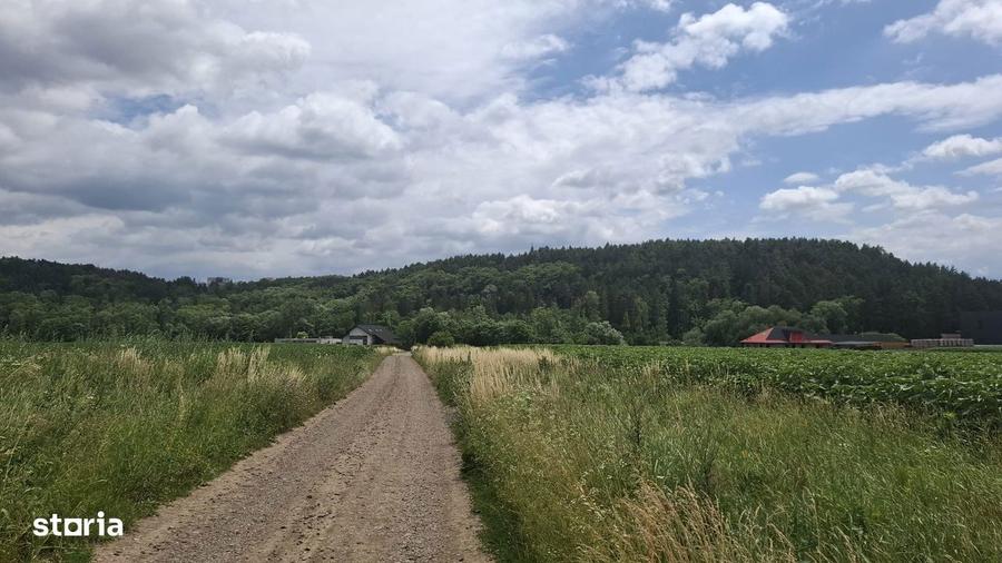 Teren de 5000sqm in mediul rural cu utilita?i - 1