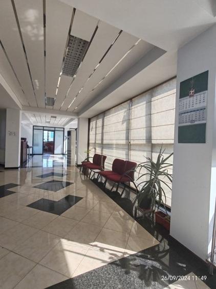 Hala de vanzare in Magurele - acces rapid si infrastructura moderna - 6