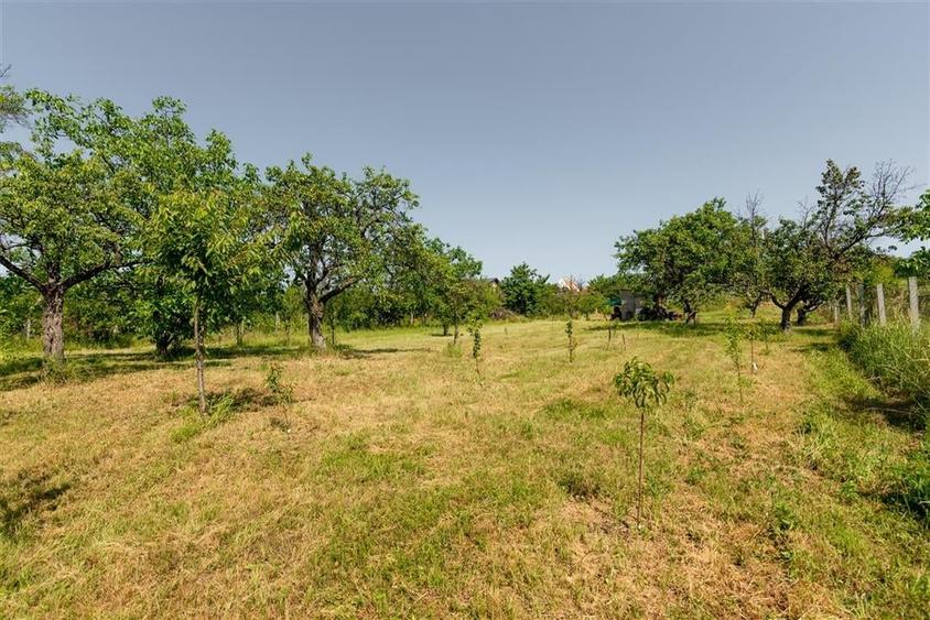 Casa cu living+3 camere cu panorama si teren mare pe Sofiei - 45