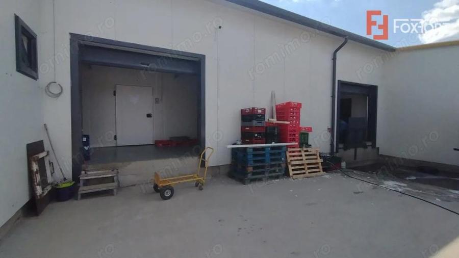 Inchiriere spatiu depozitare produse alimentare, Sacalaz - 6