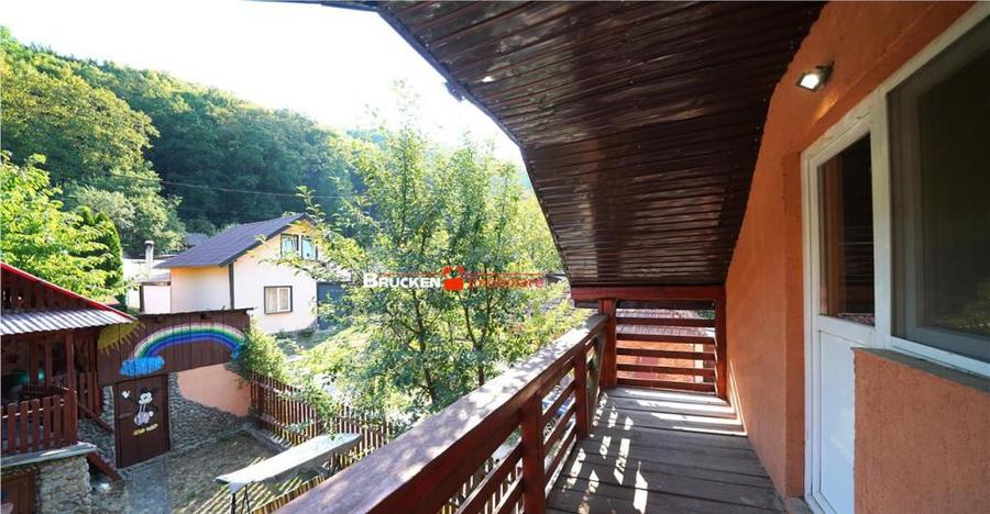 LOCUINTA TA DE VIS IN PADUREA NEAGRA - 6