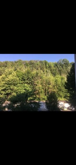 Apartament 2 camere intrare Racadau, et 2/4, luminos, in mijlocul naturii - 7