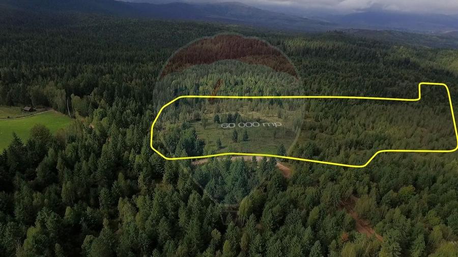 Teren extravilan parcelabil Călățele Pădure, zona Dealu Negru - 2