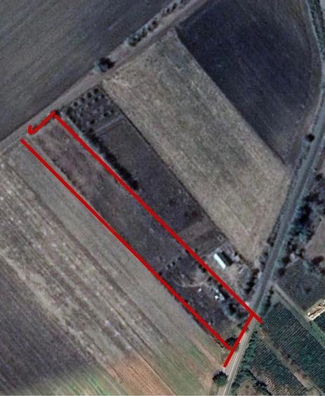 Teren de 4500 mp, în Crâng