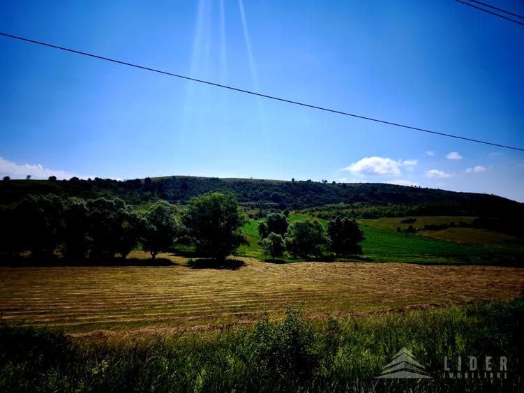 Teren Construcții intravilan de 4501 mp, în Chinteni