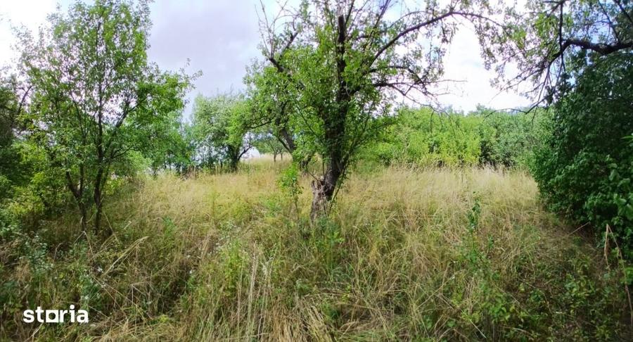 Casă cu 4 camere cu Teren 1315 Mp în Mănăstireni