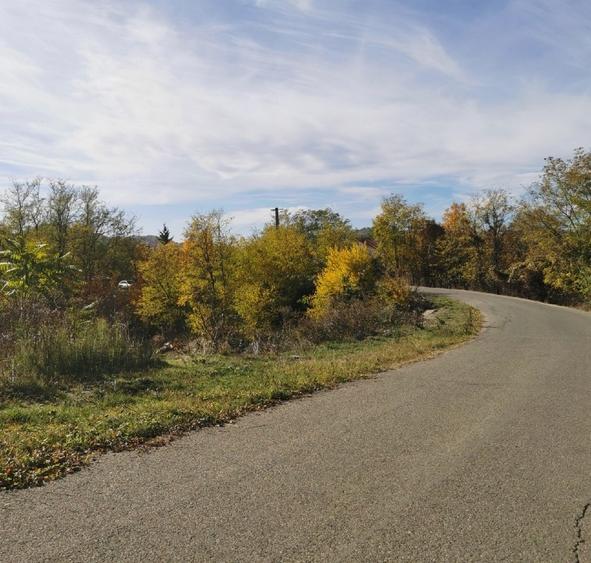 Teren intravilan de 2500 mp, în Vitioara de Sus