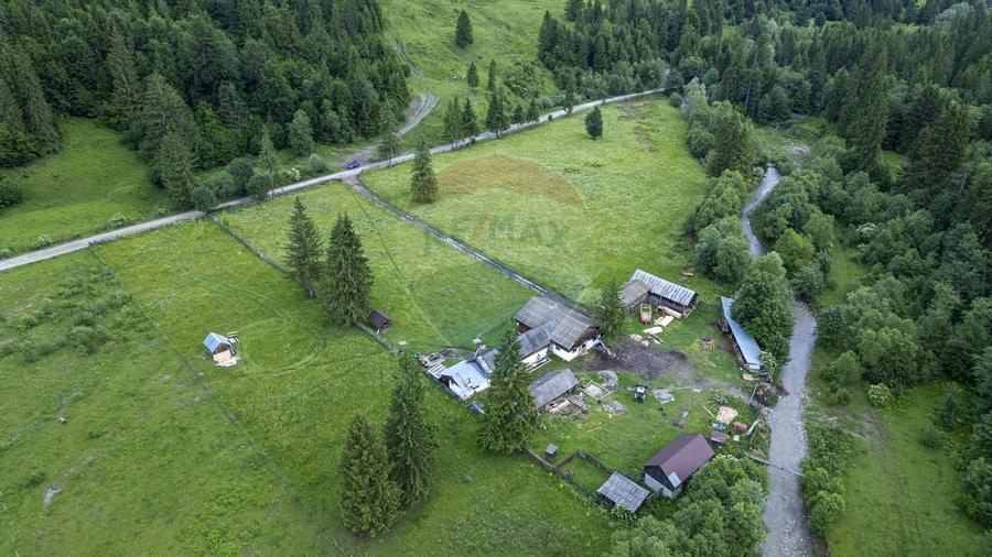 Proprietate specială, de 680 mp, în Coșnea