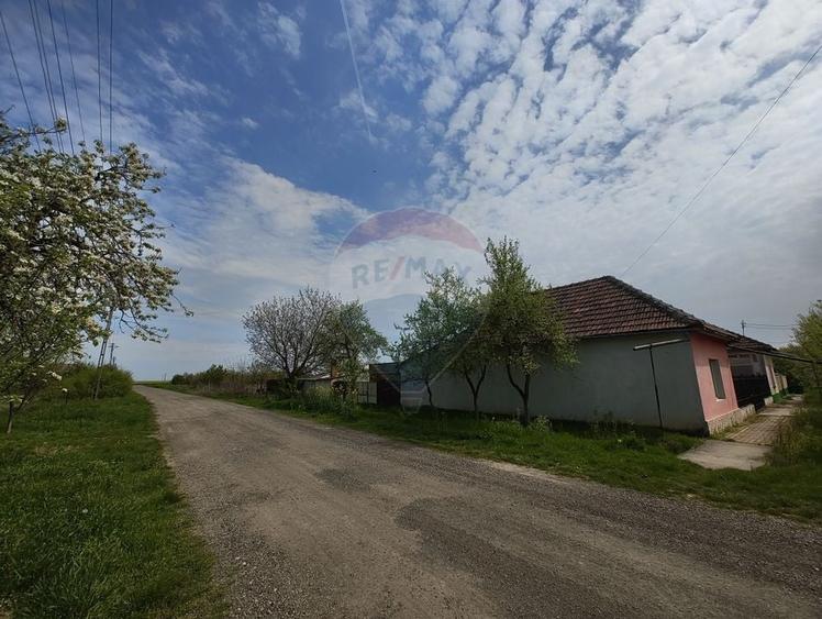 Casa de vanzare cu teren de 2175 mp,anexe si livada generoasa | Mailat - 2