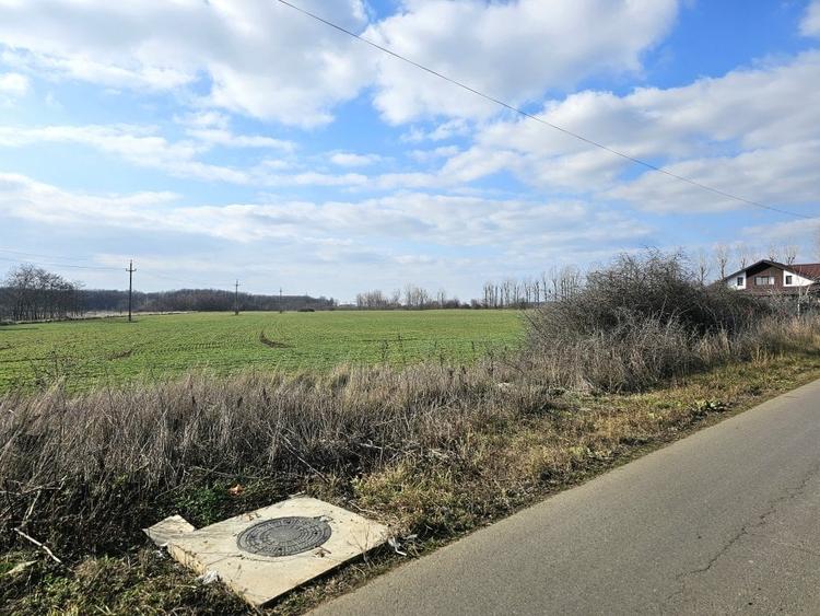 Teren de vanzare in Silistea Snagovului - 13.800 mp. - 4