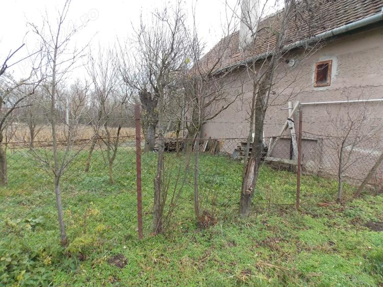 Vanzare casa cu teren de 3600 mp Miercurea Sibiului - 8