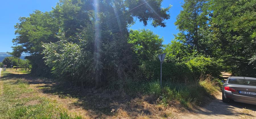 Vand de constructii situat la sosea in Tropinii Noi, cu PUZ, - 3