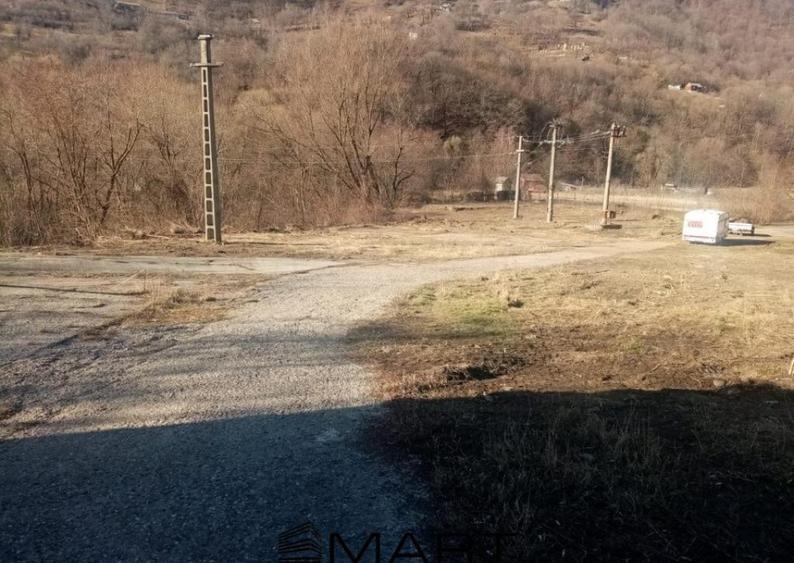 Teren extravilan 7432 mp, cu cabana de lemn Capalna AB - 9