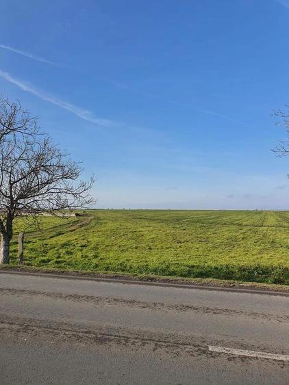 Teren de vanzare in Agigea, Varianta Agigea Techirghiol - 25000 mp - 1