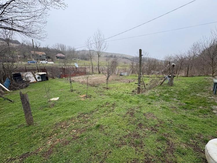 Teren 2.038 mp + Casa 50 mp de vanzare – Sat Luncsoru, Com. Ghercesti - 6