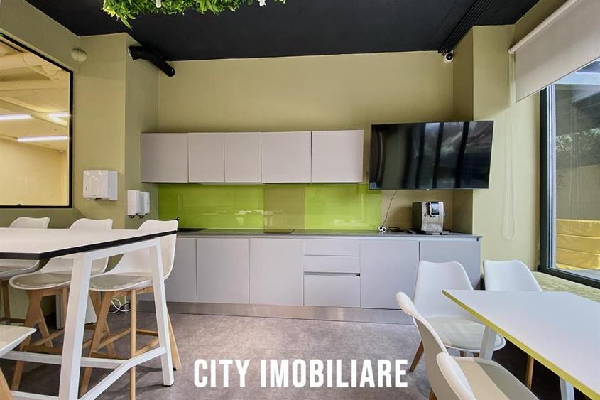 Spatiu comercial 250 mp + terasa 70 mp, Grigorescu, Parter, Ideal HoReCa   Showr - 6