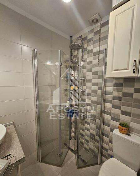 Triplex cu 3 camere, 2 bai, regim de inaltime P+1, Sanandrei - 11