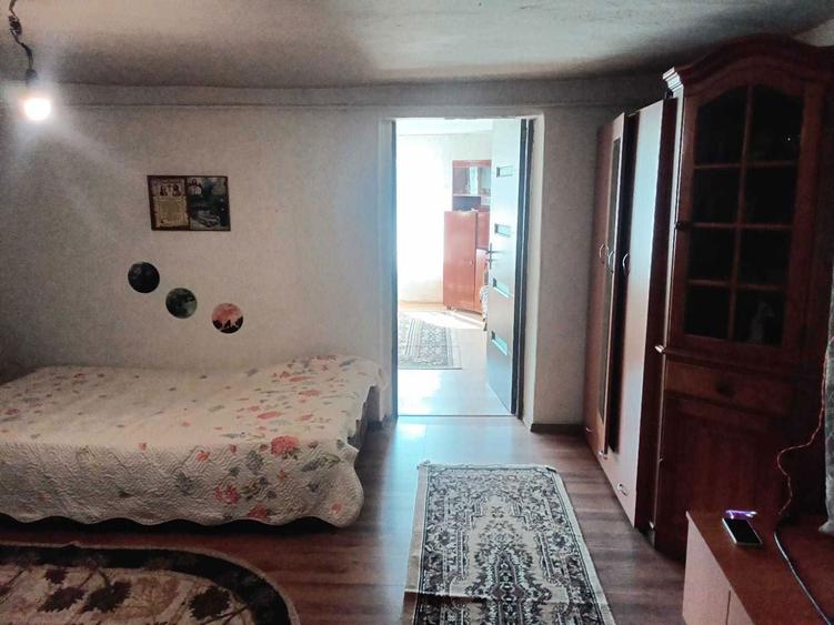 Casa de vanzare cu curte,gradina 2500mp - 5