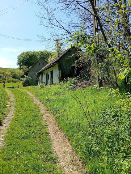 Casa de vanzare. - 7