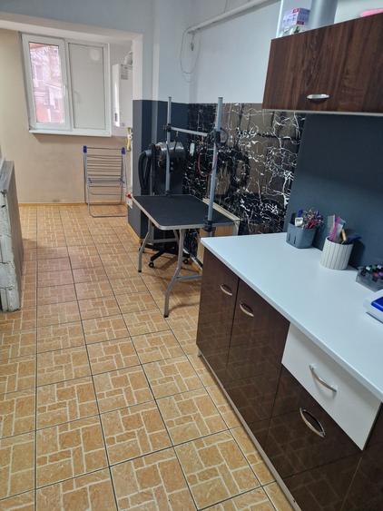 Inchiriez salon frizerie canina complet utilat - 1