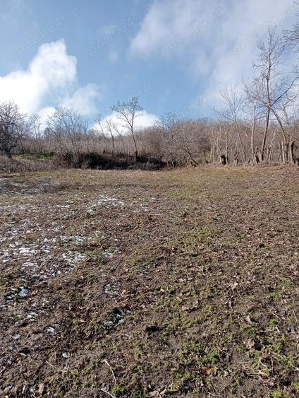 Vand casa cu teren Perieni - 5