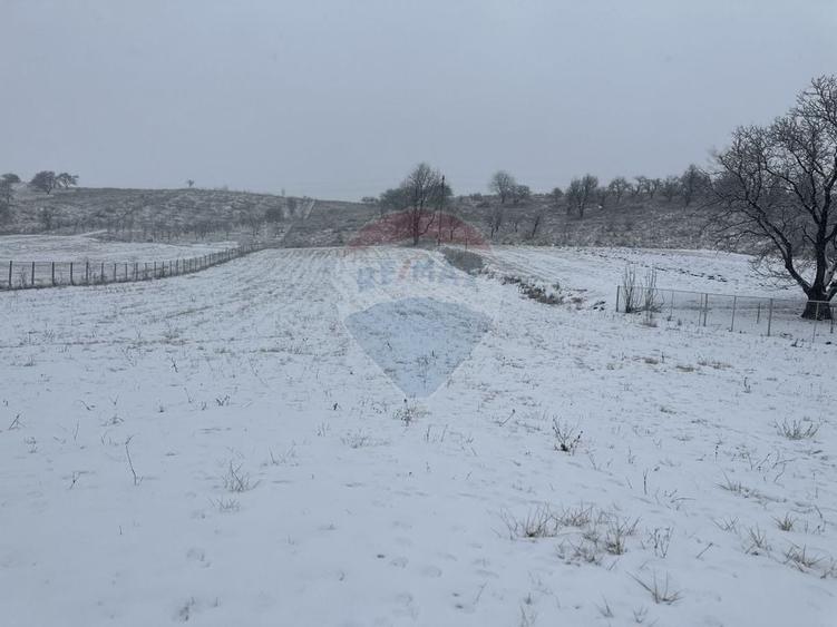Teren 8,300mp Negresti (Dobreni) / Drumul DEALUL OTEL - 2