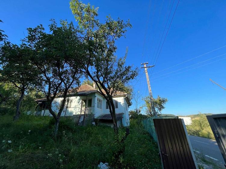 Casa cu Teren Extins Liniste, Natura si Spatiu Generos - 6