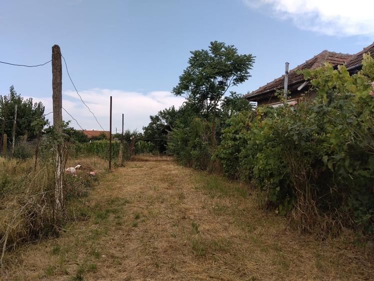 Vand Casa in Domanesti(SM) - 3