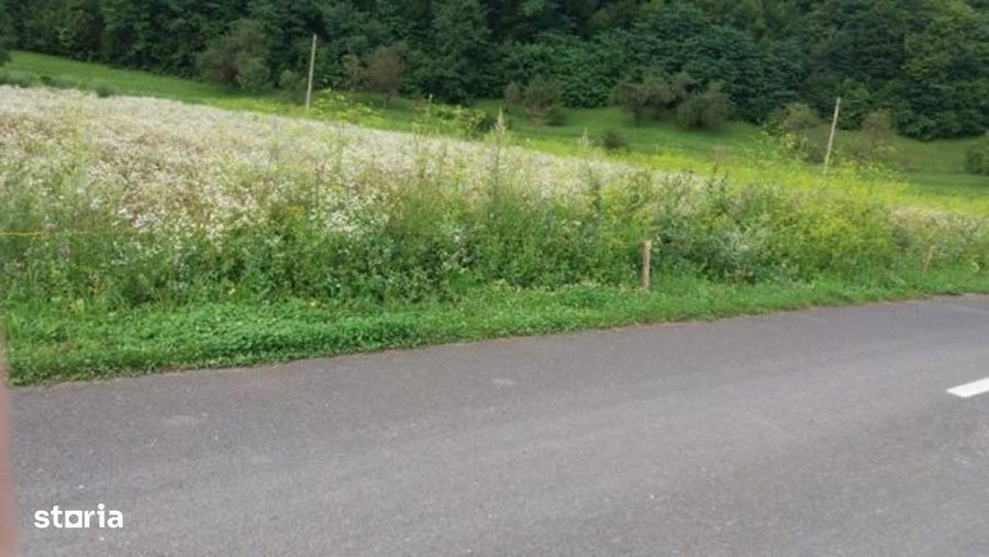 Teren intravilan de vanzare 5735 mp Ribita - 5