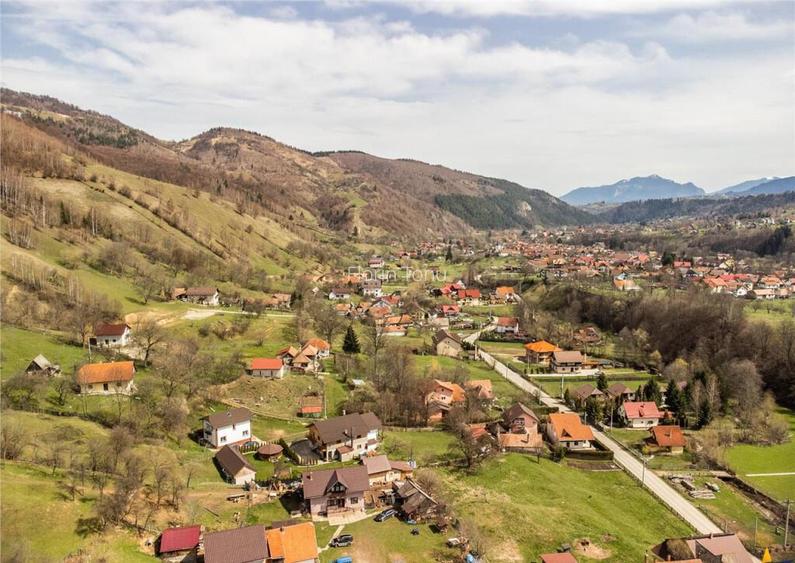 FILM! Teren de 6.500 mp si camin stramosesc, in inima Bucegi FILM! Teren de 6.500 mp si camin stramosesc, in inima Bucegi