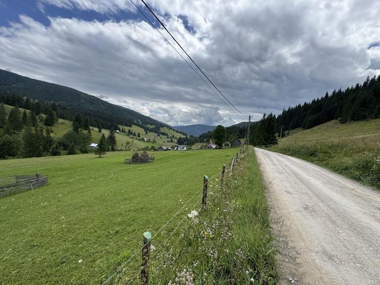 Teren de vanzare la munte in Bucovina - 3