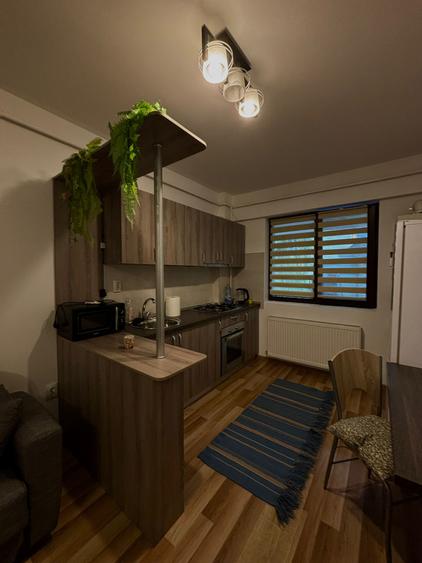 Apartament cu 2 camere Palas Mall - 4