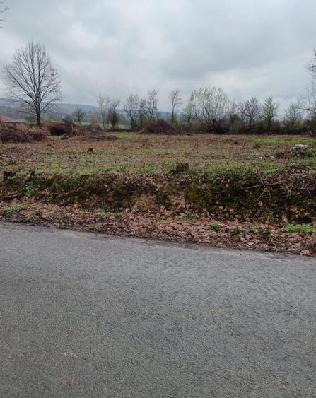 Unguras, 20 ari teren - 1