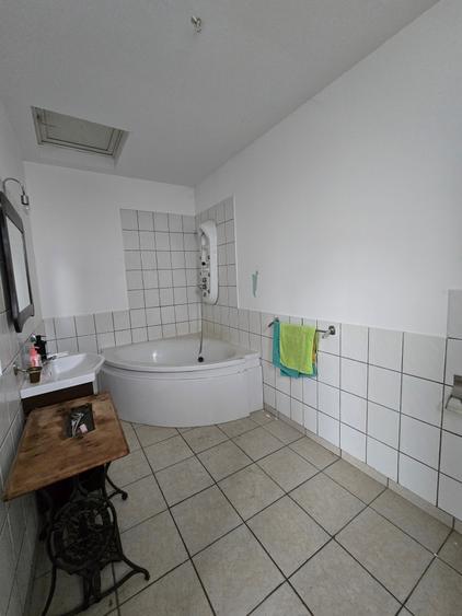 Mosnita Veche- Vila 2 apartamente- Teren 1100 mp - 16