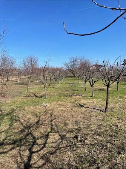 Casa cu teren 2500mp Stradal in zona de sud a Bucurestiului - 3
