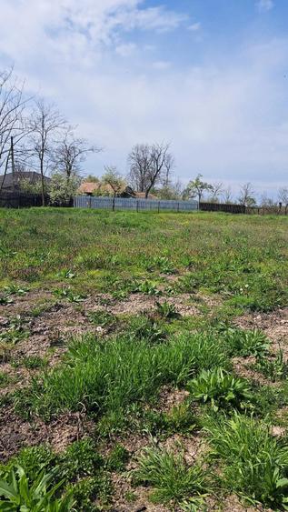 Casa de vanzare la tara - comuna Talpa-Ograzile jud Teleorman - 5