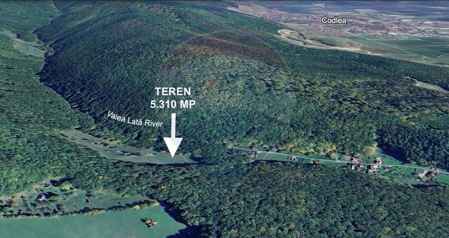 Teren de vanzare - Colonia 1 Mai, 5.310 mp, ideal pentru investitie - 9