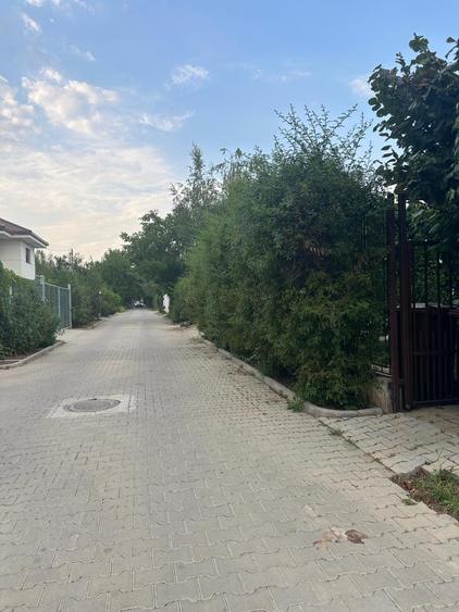 VILA DE VANZARE SISESTI - 16